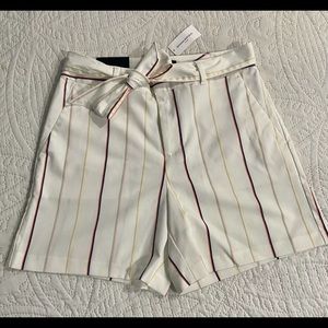 Banana Republic shorts